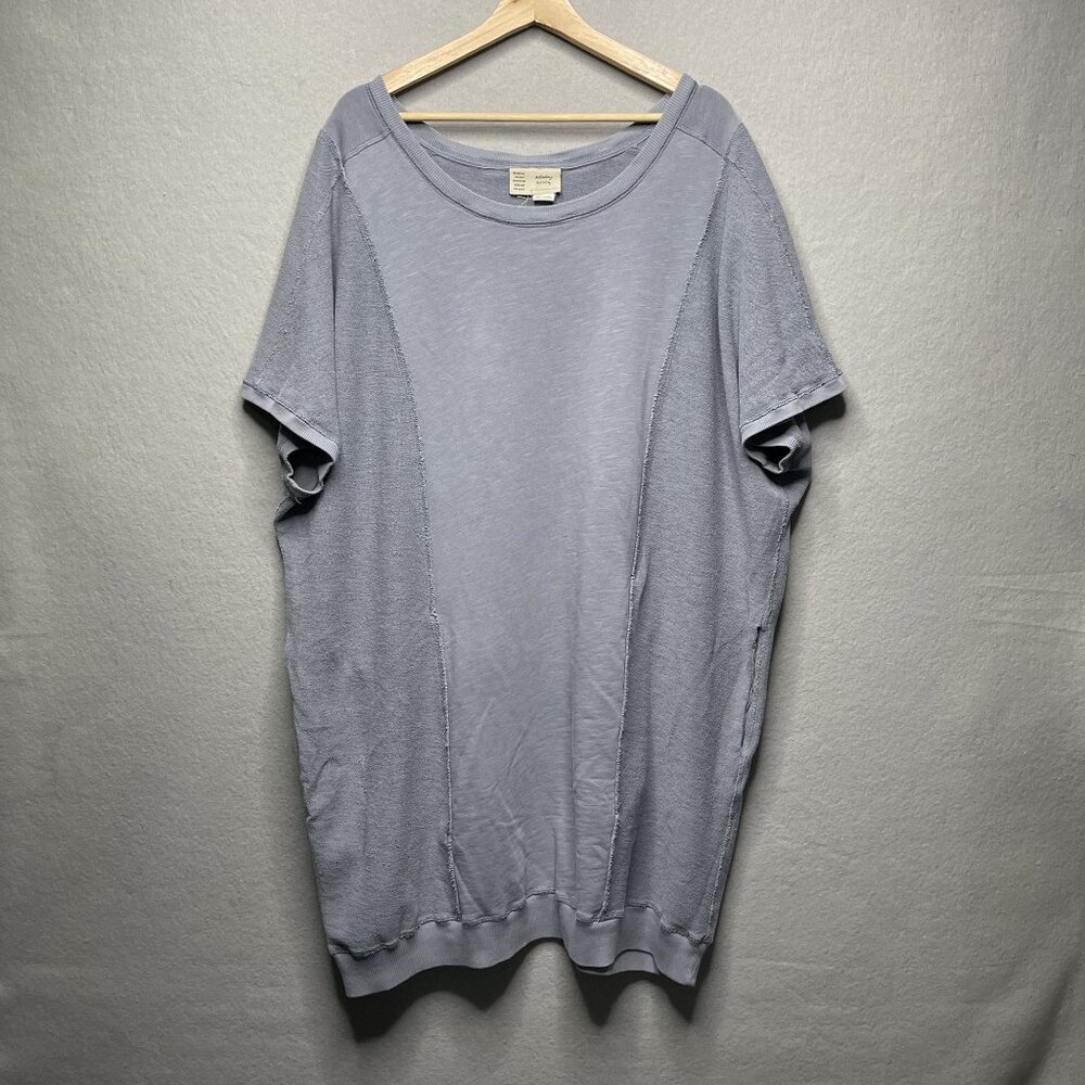 Anthropologie Light Gray Blouse